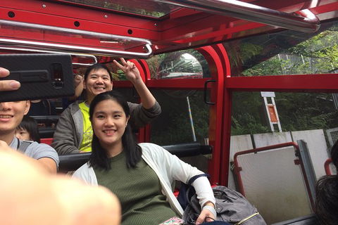 All-Day Blue Mountains Private Tour With Professional Guide For Up To 4 People - Tourism Cairns 15