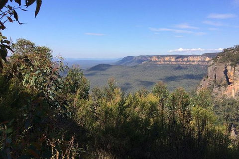 All-Day Blue Mountains Private Tour With Professional Guide For Up To 4 People - Tourism Cairns 4
