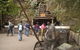 All-Day Blue Mountains Private Tour With Professional Guide For Up To 4 People - thumb 9