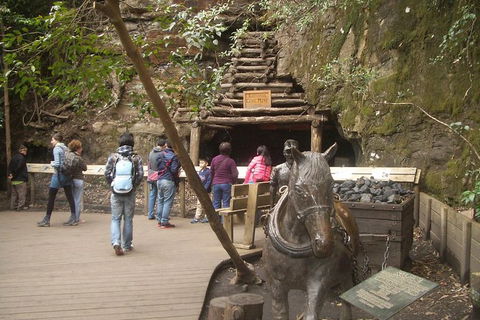 All-Day Blue Mountains Private Tour With Professional Guide For Up To 4 People - Tourism Cairns 9