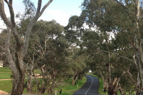 All-Day Blue Mountains Private Tour With Professional Guide For Up To 4 People - Tourism Cairns 22