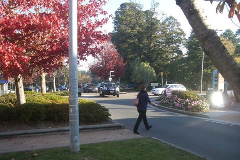 All-Day Blue Mountains Private Tour With Professional Guide For Up To 4 People - Tourism Cairns 12