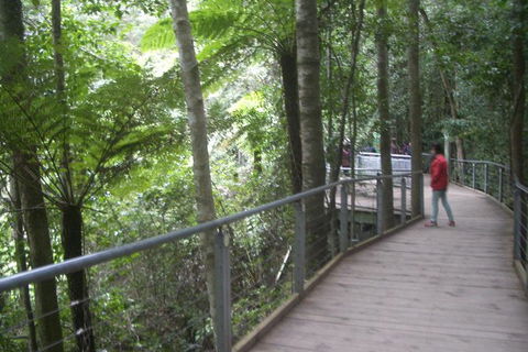 All-Day Blue Mountains Private Tour With Professional Guide For Up To 4 People - Tourism Cairns 20