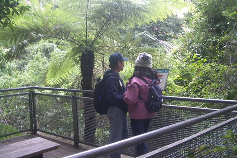 All-Day Blue Mountains Private Tour With Professional Guide For Up To 4 People - Tourism Cairns 19