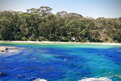 Jervis Bay Passage Tour - Tourism Cairns 1