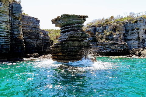 Jervis Bay Passage Tour - Tourism Cairns 15