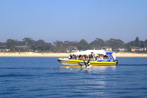 Jervis Bay Passage Tour - Tourism Cairns 16