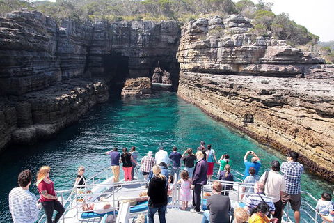 Jervis Bay Passage Tour - Tourism Cairns 3