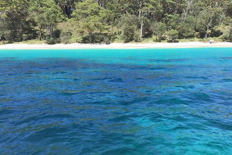 Jervis Bay Passage Tour - Tourism Cairns 5