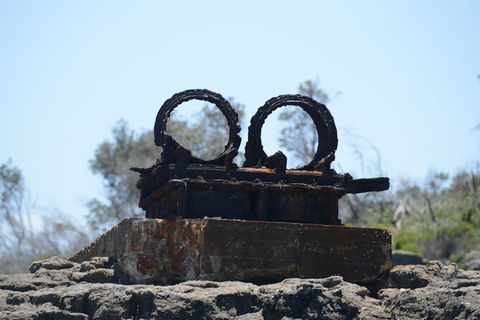 Jervis Bay Passage Tour - Tourism Cairns 4