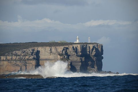 Jervis Bay Passage Tour - Tourism Cairns 8