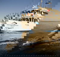 Jervis Bay Dolphin Watch Cruise - Tourism Cairns