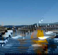 Batemans Bay Oyster Tasting Kayak Tour - Tourism Cairns