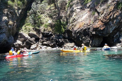Batemans Bay Glass-Bottom Kayak Tour Over 2 Relaxing Hours - Tourism Cairns 1