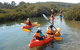 Batemans Bay Glass-Bottom Kayak Tour Over 2 Relaxing Hours - thumb 4