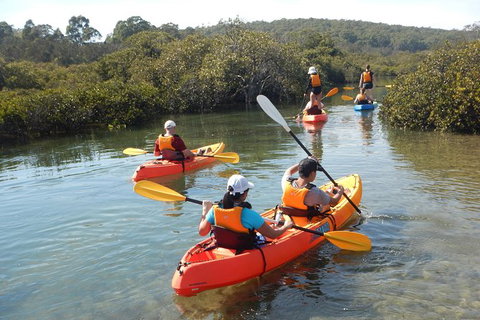 Batemans Bay Glass-Bottom Kayak Tour Over 2 Relaxing Hours - Tourism Cairns 4