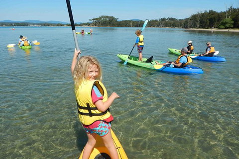 Batemans Bay Glass-Bottom Kayak Tour Over 2 Relaxing Hours - Tourism Cairns 2