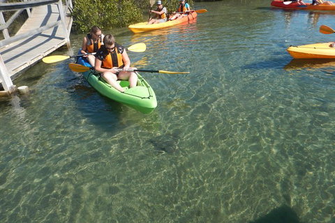 Batemans Bay Glass-Bottom Kayak Tour Over 2 Relaxing Hours - Tourism Cairns 5