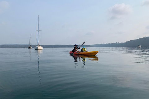 Batemans Bay Glass-Bottom Kayak Tour Over 2 Relaxing Hours - Tourism Cairns 7