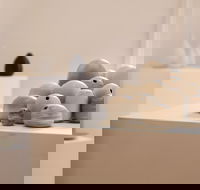 Altenburg and Co - Tourism Cairns