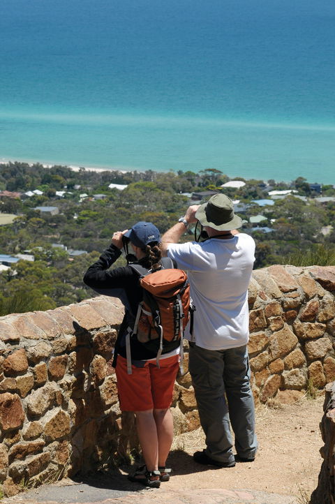 Arthurs Seat State Park - Tourism Cairns 2