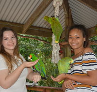 Birdworld Kuranda - Tourism Cairns