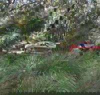 Bridgetown Jarrah Park - Tourism Cairns