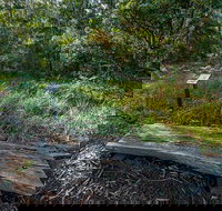 Browns Forest Loop Trail - Tourism Cairns