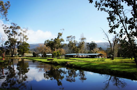 Buxton Trout And Salmon Farm - Tourism Cairns 2