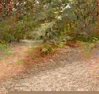 Daleys Point Walking Track - Tourism Cairns