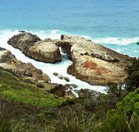 Diamond Head Loop Walk - Tourism Cairns