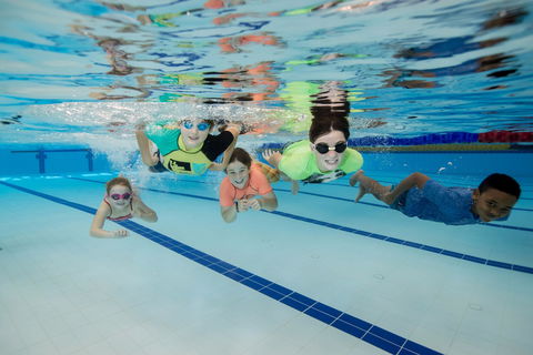 East Maitland Aquatic Centre - Tourism Cairns 1