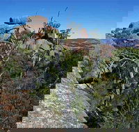 Evans Crown Nature Reserve - Tourism Cairns