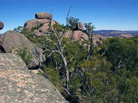 Evans Crown Nature Reserve - Tourism Cairns 0