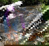 Fossicking - Tourism Cairns