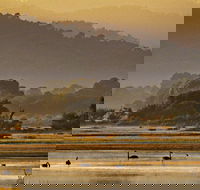 Greens Beach - Tourism Cairns