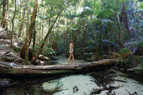 Great Beach Drive - 3 Day Itinerary - Tourism Cairns 0