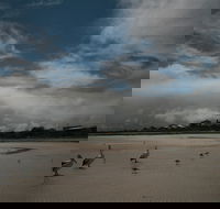 Hardwicke Bay - Tourism Cairns