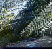 Hastings Forest Way Touring Route - Tourism Cairns