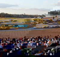 Ipswich Motorsport Precinct - Tourism Cairns