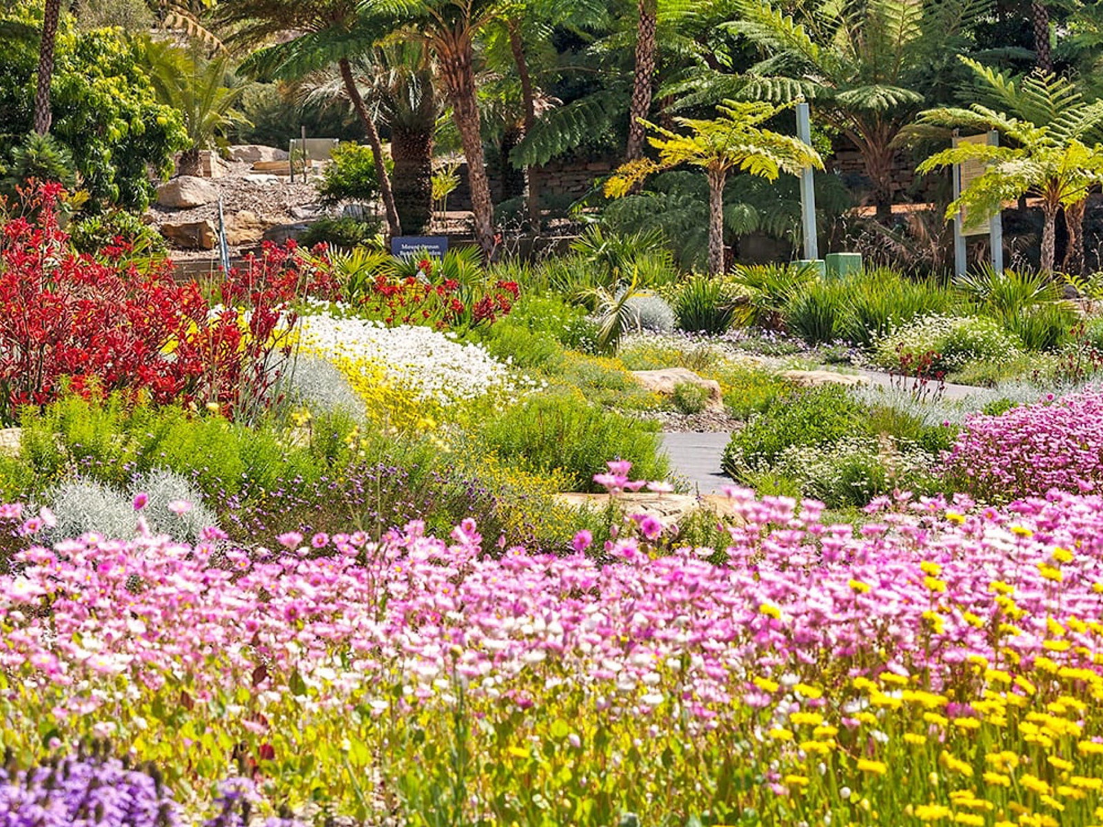 Mount Annan NSW Tourism Cairns