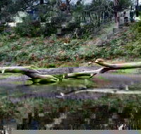 Kayaking Upper Tuross River and Bumbo Lake - Tourism Cairns