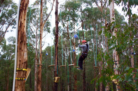 Kinglake Forest Adventures - Tourism Cairns 0