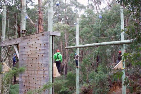 Kinglake Forest Adventures - Tourism Cairns 1