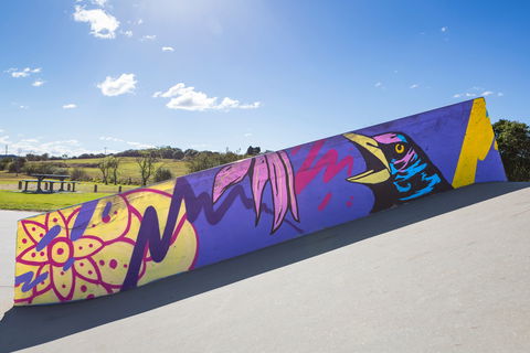 Kirkham Skate Park - Tourism Cairns 1
