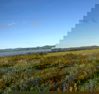 Lakeland - Tourism Cairns