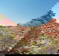 Lark Quarry Conservation Park - Tourism Cairns
