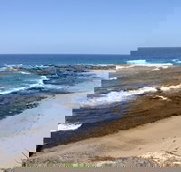 Little Shelley - Tourism Cairns