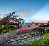 Mary Valley Rattler - Tourism Cairns