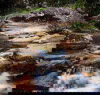 Mothar Mountain Rockpools - Tourism Cairns